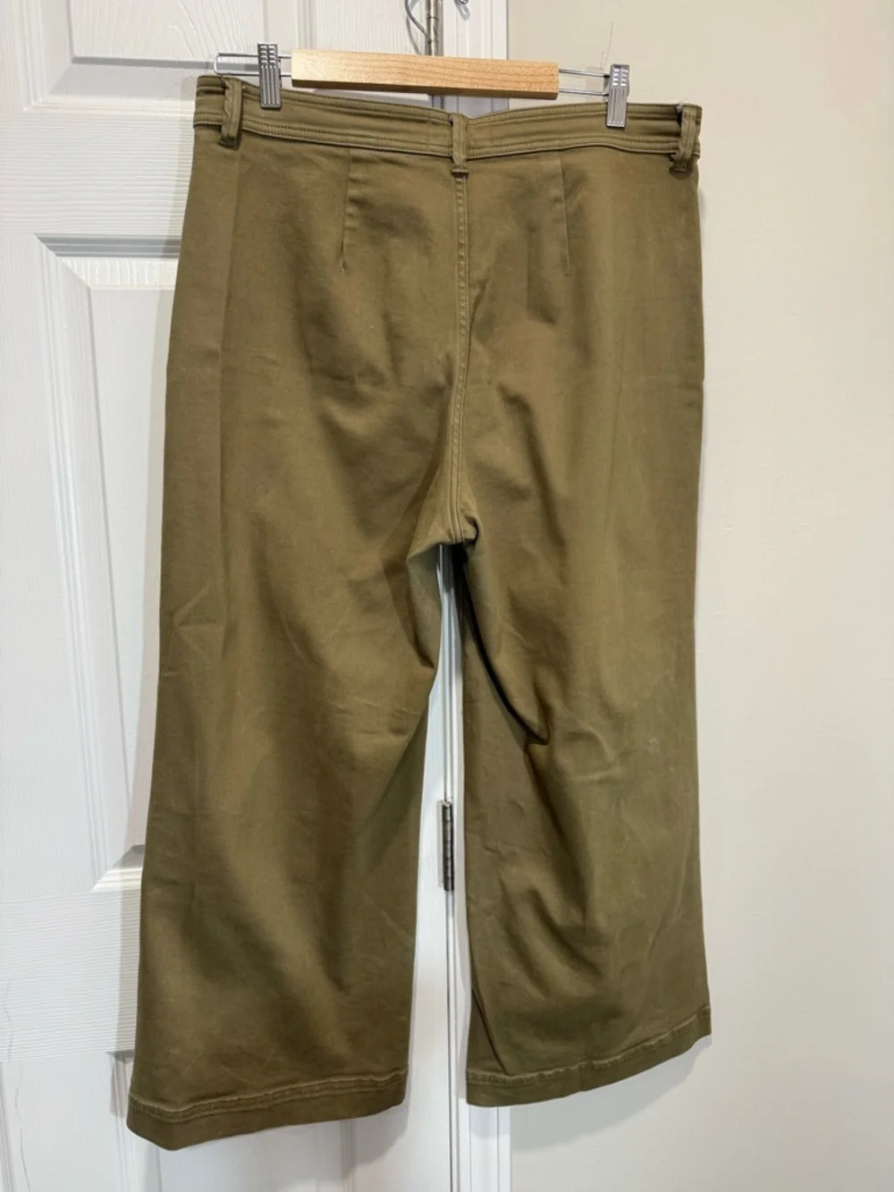 Everlane Olive High-Rise Wide Crop Pants - Picture 15 of 16